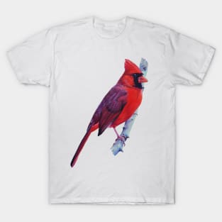 Northern Cardinal in Spring painting (no background) T-Shirt